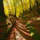 7봉7봉 | 내장산 단풍 7봉 종주 등산 후기: 코스, 난이도, 소요시간 상세 정보