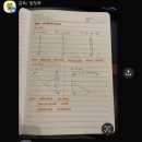 노원 여자풋살 위고하이 1년차 후기!
