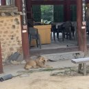 만희목장 네이버블로그