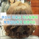 박철헤어스튜디오
