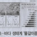 산호기획