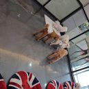 개털깍는 사랑이네 이미지