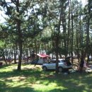 감 이야기 캠핑장 이미지