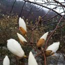 청도한의원 이미지