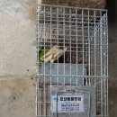 포산동물병원 이미지