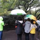 와흘본향당 이미지