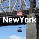 타임스퀘어(홍당무앞) 교통섬 | 뉴욕 여행 가볼만한곳 루즈벨트 아일랜드 트램 타는법 뉴욕 일몰 야경 명소