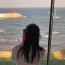 지에스(GS)25 수영비콘점 | 경주 오션뷰 풀빌라 숙소 추천 , 수영장 펜션 오션클리프 203호 후기
