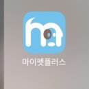 도그플러스 애견미용 이미지