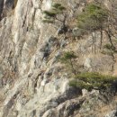 소로 3-841 | 운문지맥 2구간 (떡밭재 ~ 범봉 ~ 억산 ~복점산 ~ 인재 ~ 흰덤봉 ~ 오치령)