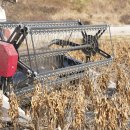 그린영농조합법인 이미지