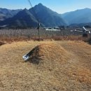 대통령 이재명 부모묘소 경상북도 봉화군 명호면 관창리 이미지