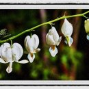 계곡소리펜션 이미지