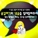 한미여행사