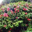 우룡산공원 이미지