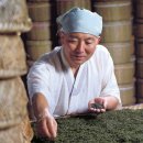 순천-18호 이미지