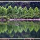 우리나라에 살면서 한번쯤은 가볼만한 곳,,,4 (경북 청송,,, 주산지) 이미지