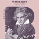 제13회 정기연주회 이미지
