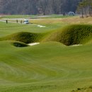 베스타 골프 이미지