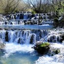 여주설렁탕 이미지