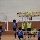 금곡2 Daum카페