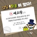 캠핑도시 이미지