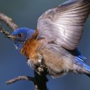 백제농장 이미지