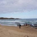 행복행정사 이미지