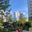 세움어린이집 놀이터 이미지