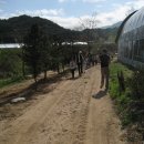 삼생초등학교 이미지