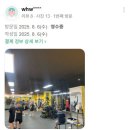 더아트복싱클럽 | 식사동 드래곤복싱클럽 후기 모음｜시설·지도·운동 효과까지