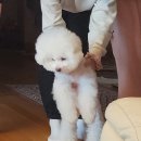 게으름일지
