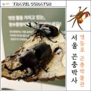 풍뎅이 별관 | 서울 곤충박사들의 비밀 아지트 영등포 곤충체험관