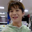 these days choi A dog 이미지