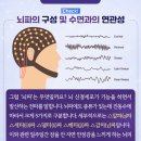 서울수면센터 이미지