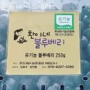 환농장 | 블루베리체험 환이네 블루베리 블루베리농장체험 가능 나이 비용 방법 후기