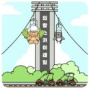 닥터김동물의료센터 이미지