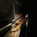 귀래농장 이미지