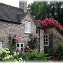 사람의 말에는 창조적인 능력이 ?! 이미지