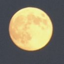 승승장구태권도장 이미지