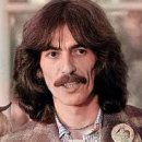 If Not for You - George Harrison 이미지