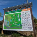 부여하늘농장 | 2026 고창 청보리밭축제,봄 감성 제대로 느끼는 방법 (실제 다녀온후기)