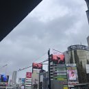 오모이노타케 Pieces투어 도쿄 공연 후기 / 부도칸이요?