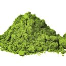 그린피트니스 이미지