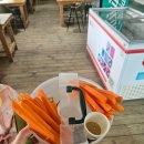 홍천농장 | 강원도 홍천 가볼만한곳 동키마을 아이들과 가기 좋은 체험형 농장 후기 당나귀 먹이주기부터 힐링까지!