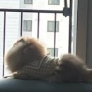 멍리단길 이미지