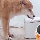 KH프라자 이미지