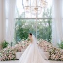 고놈들 | W3. 본식스냅 촬영 및 보정후기_헤이지야(heyzya)