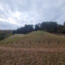 고아리벽화고분 이미지