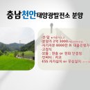 구도리 태양광발전소 이미지